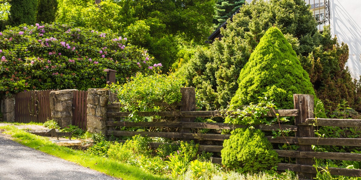 14 Privacy Fence Ideas That Will Turn Your Yard into an Oasis
