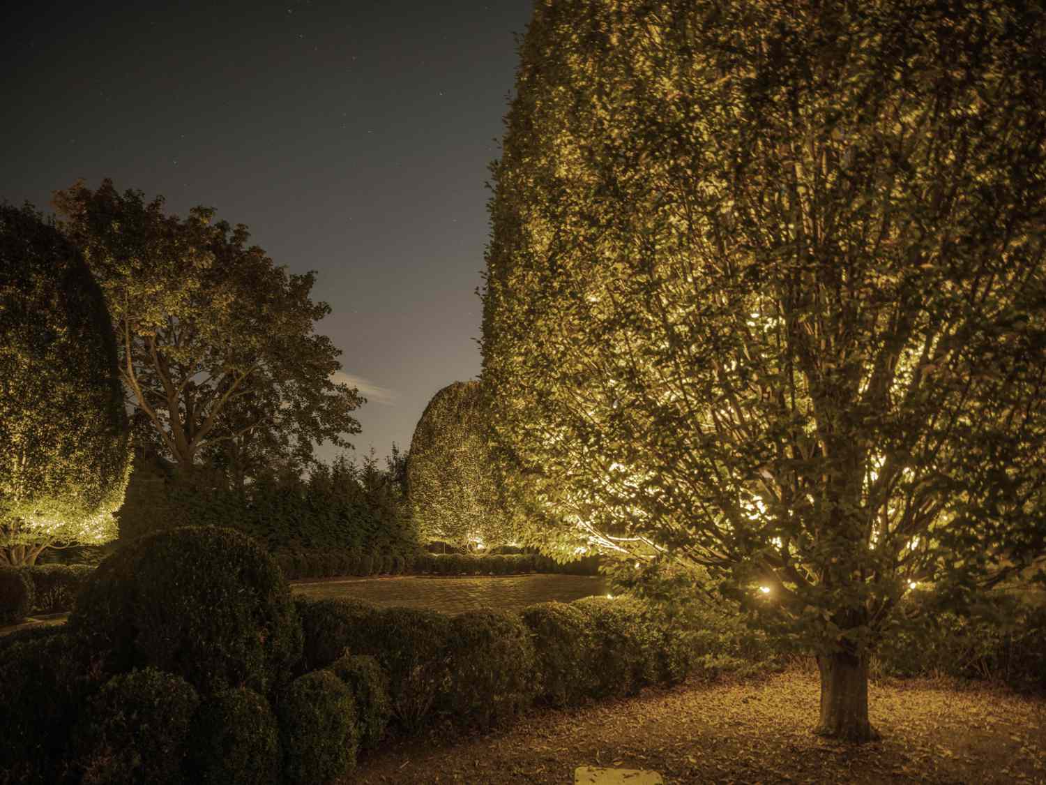 22 Landscape Lighting Ideas for a Nighttime Display