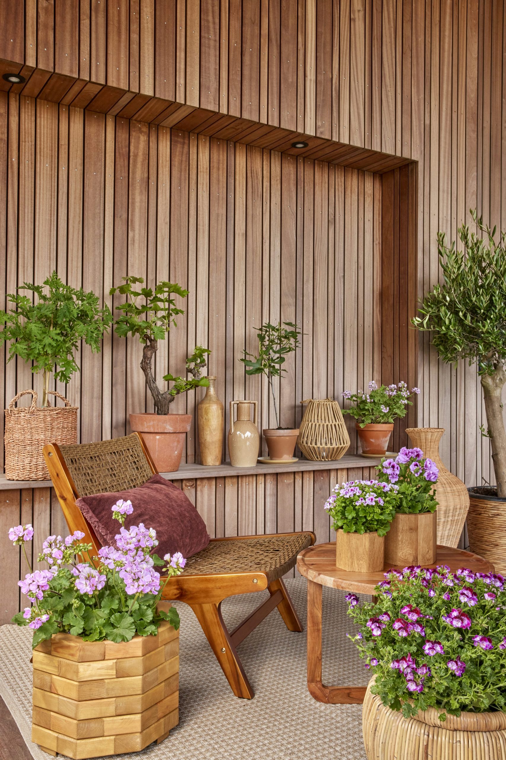 A cozy, plant-filled wooden patio scene. photo – Free Green Image on Unsplash