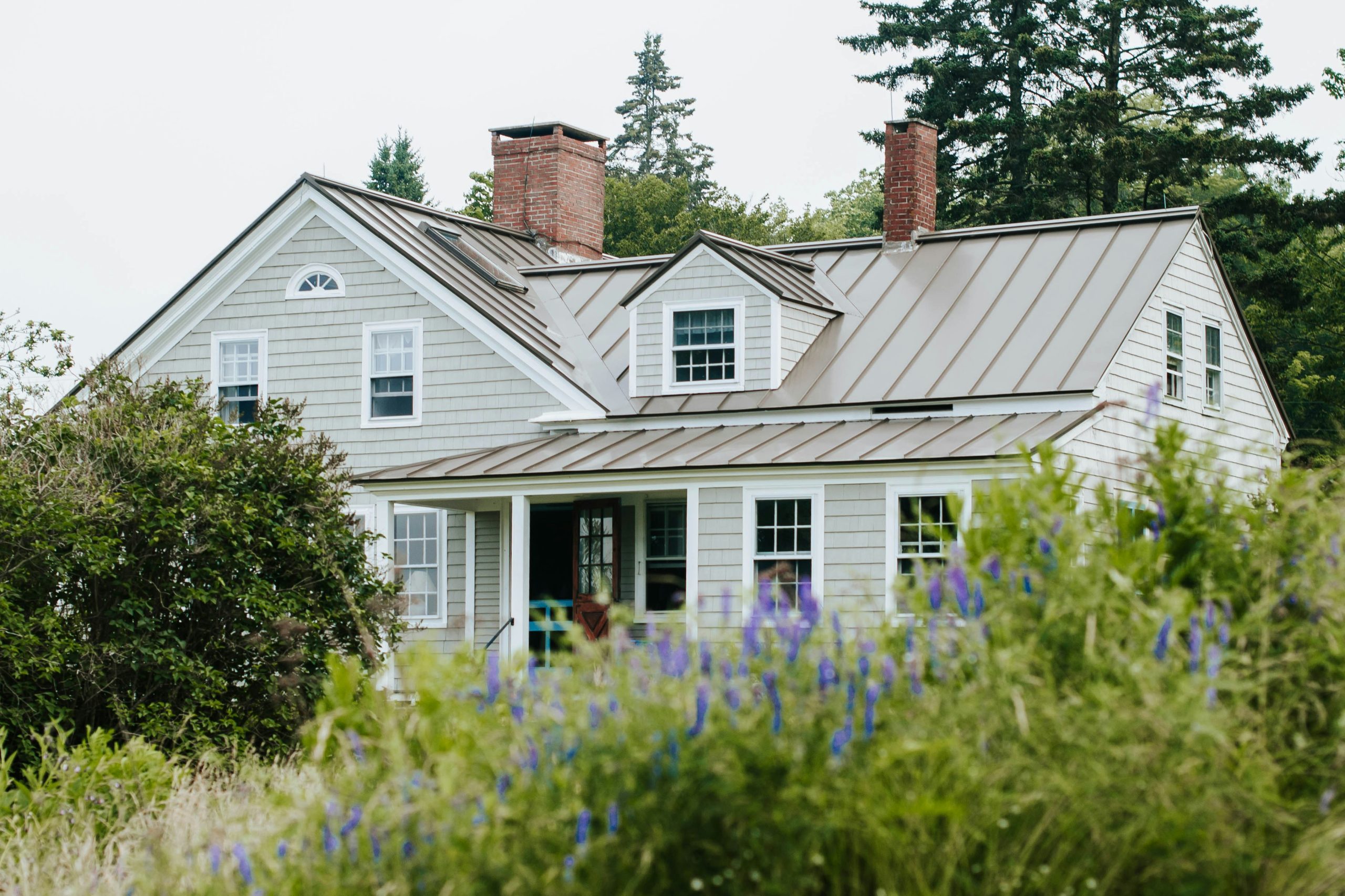 A house in Maine with purple wildflowers in the foreground.