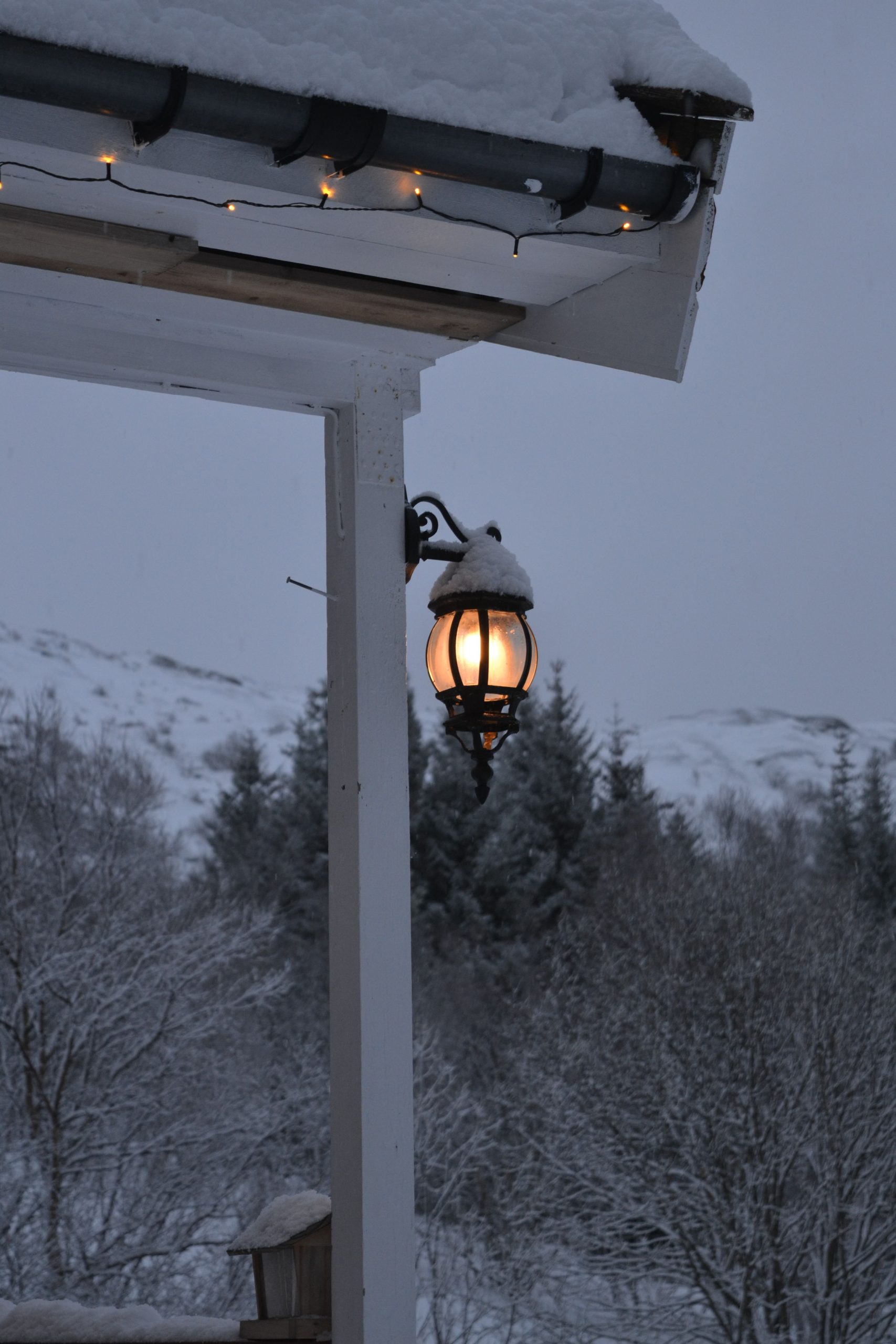 A solitary lantern gracefully covered in snow illuminates a calm winter forest scene.