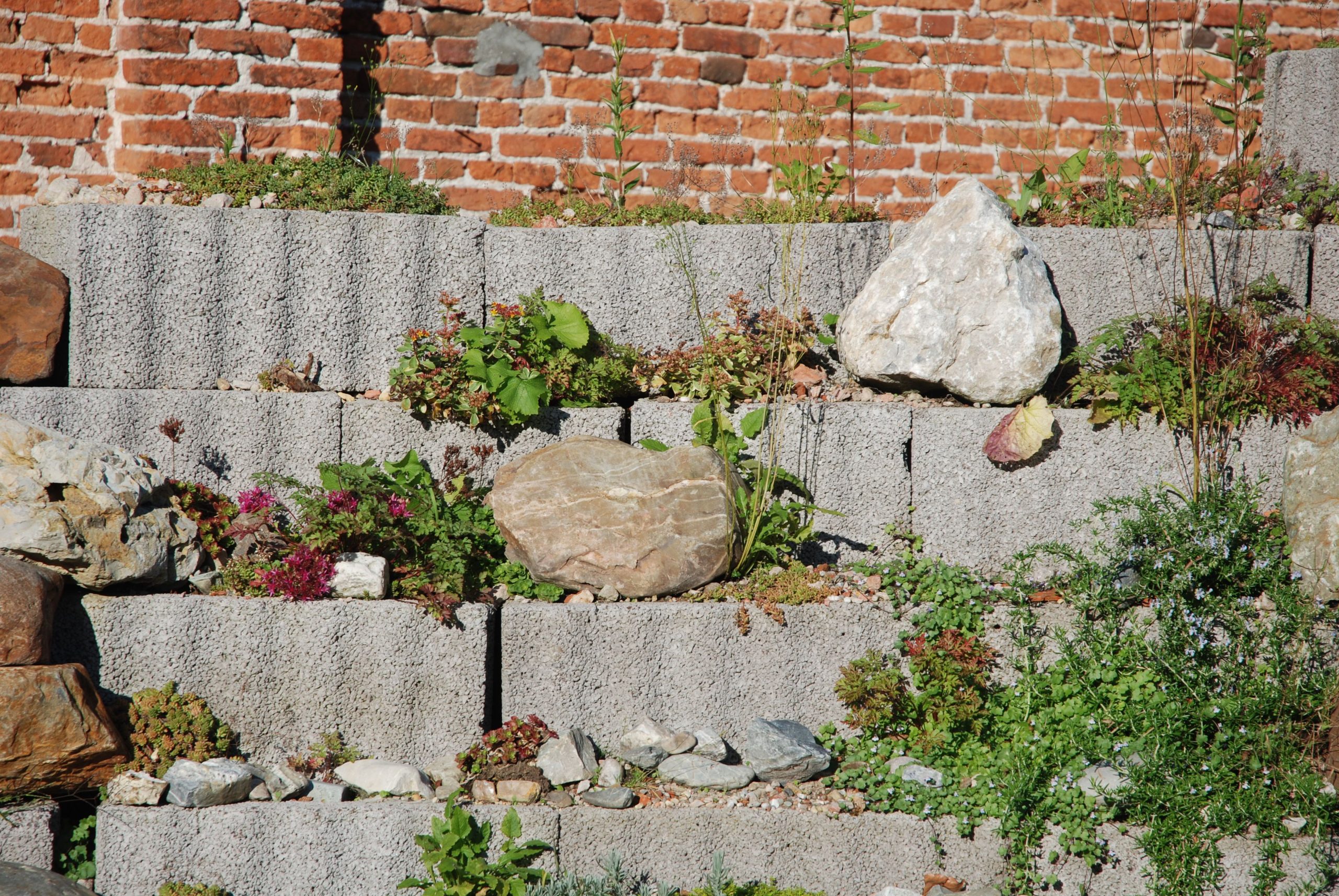A stepped stone terrace with lush plants and a red brick wall in Belgium.