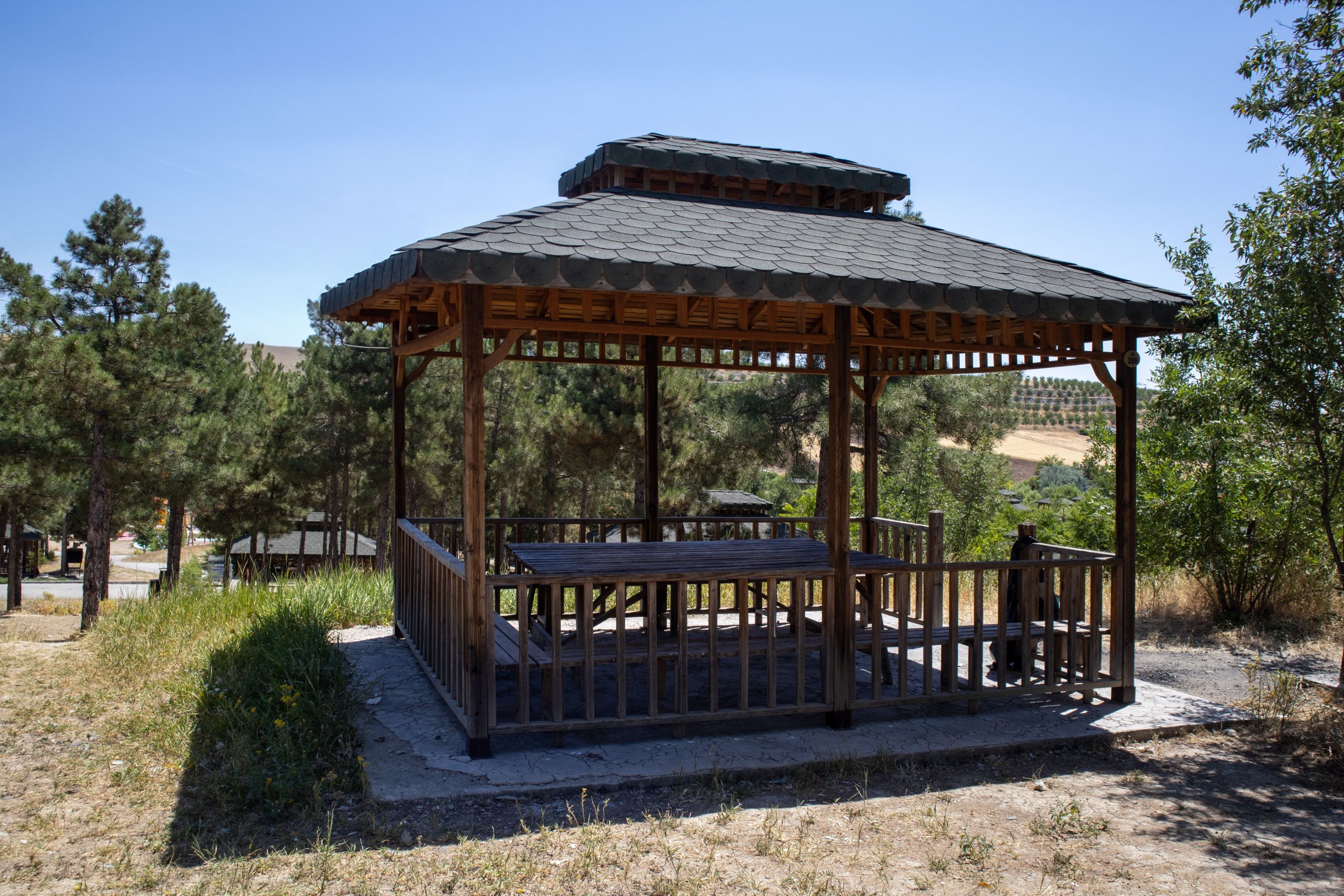 A wooden gazebo surrounded by lush pine trees in Pertek, Tunceli, Türkiye on a sunny day.