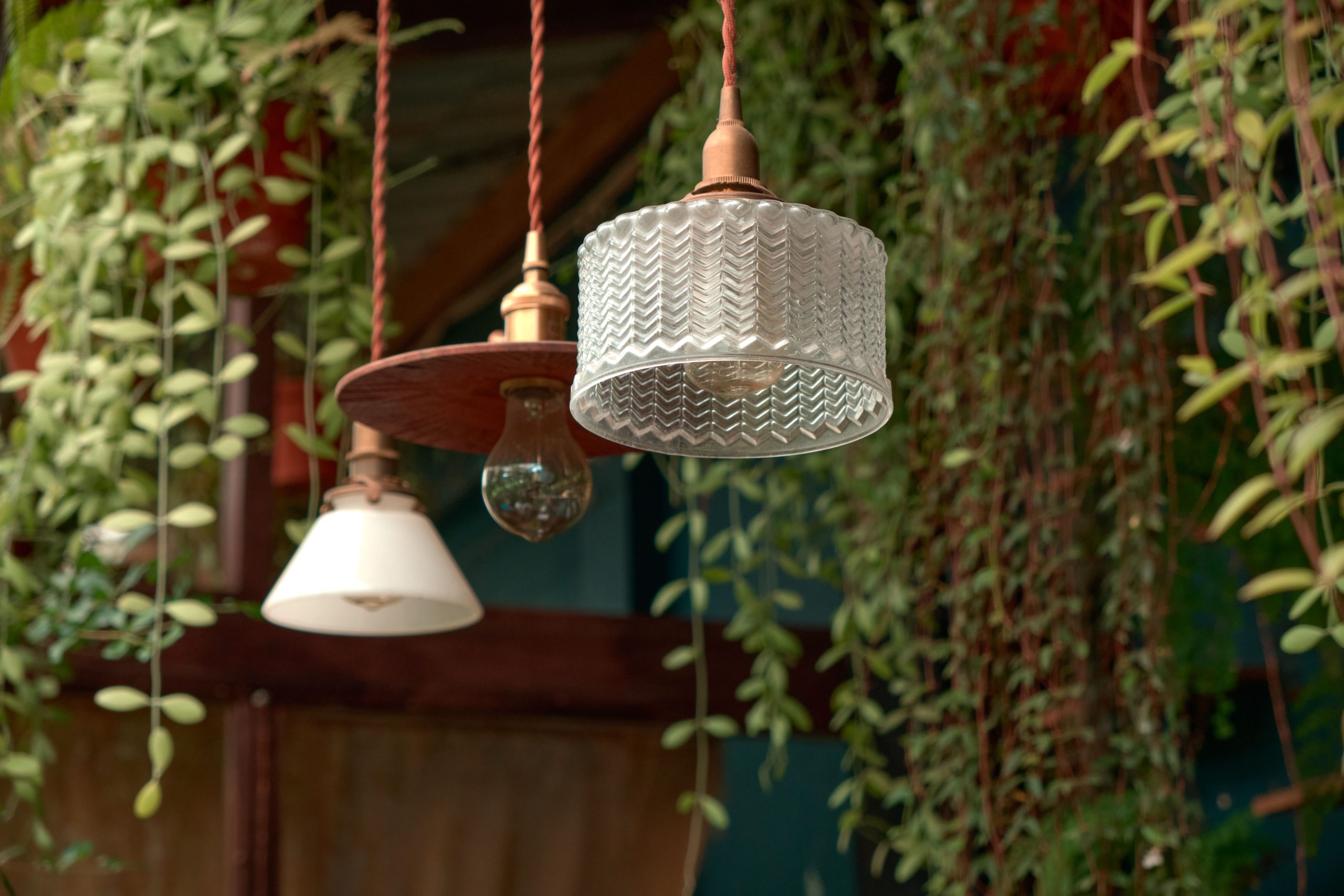 Artistic lamps hanging amidst lush green plants in a rustic outdoor setting.