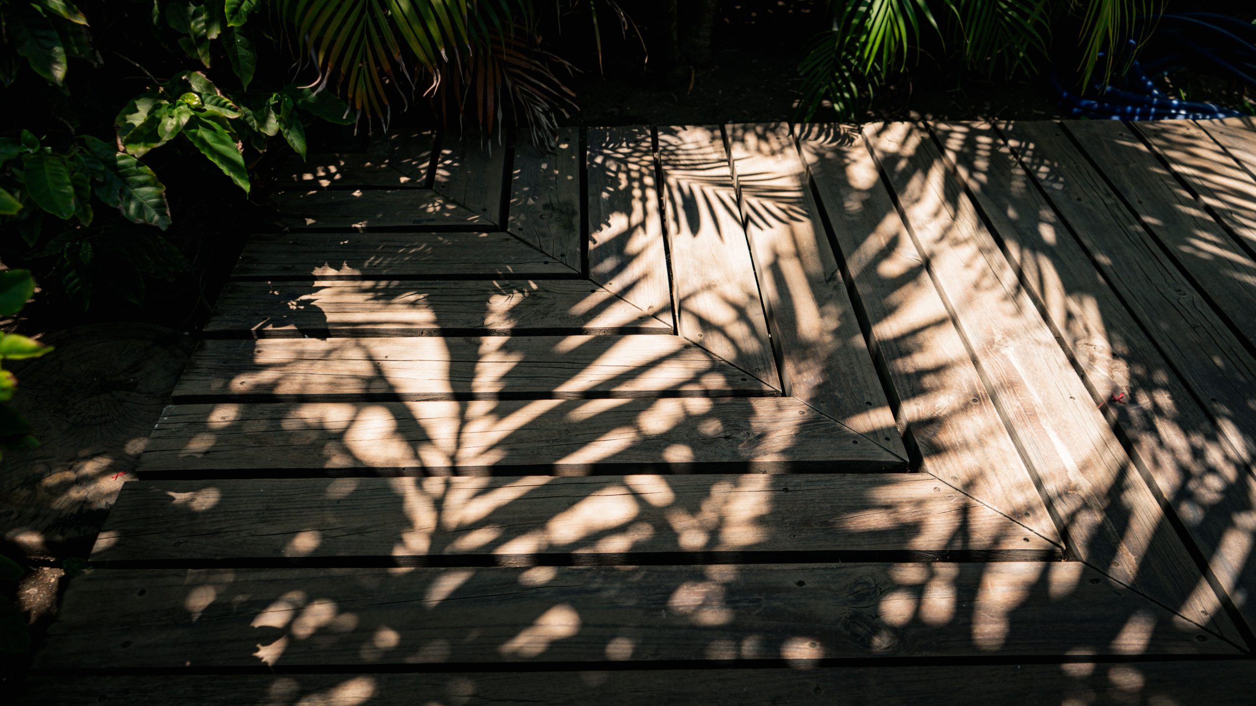 Artistic play of palm leaf shadows on a wooden deck, creating a natural and tropical abstract pattern.