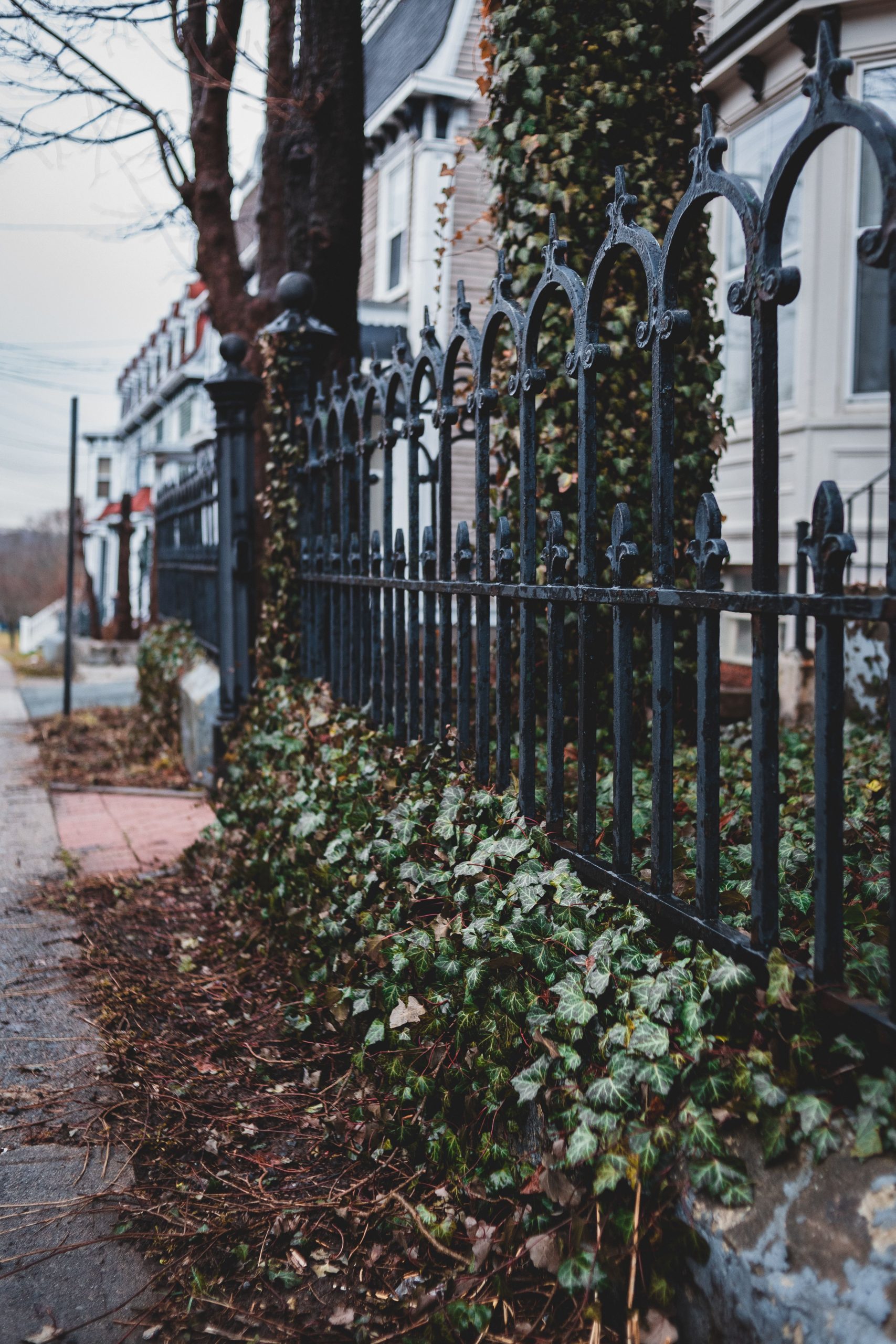 Autumn street scene with an elegant iron fence adorned with ivy next to historical homes.