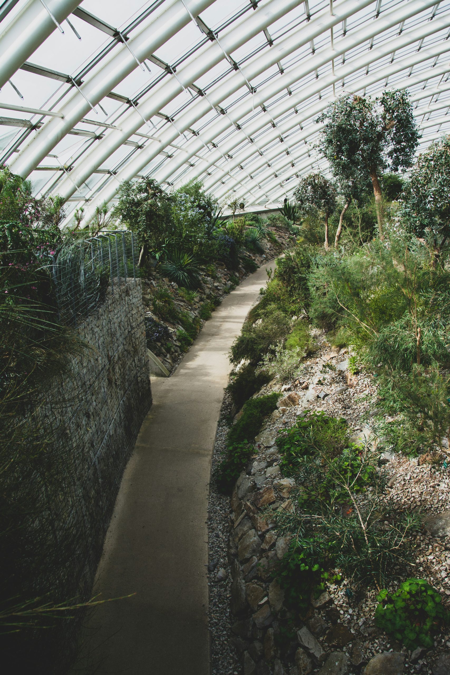 Botanical Walkway