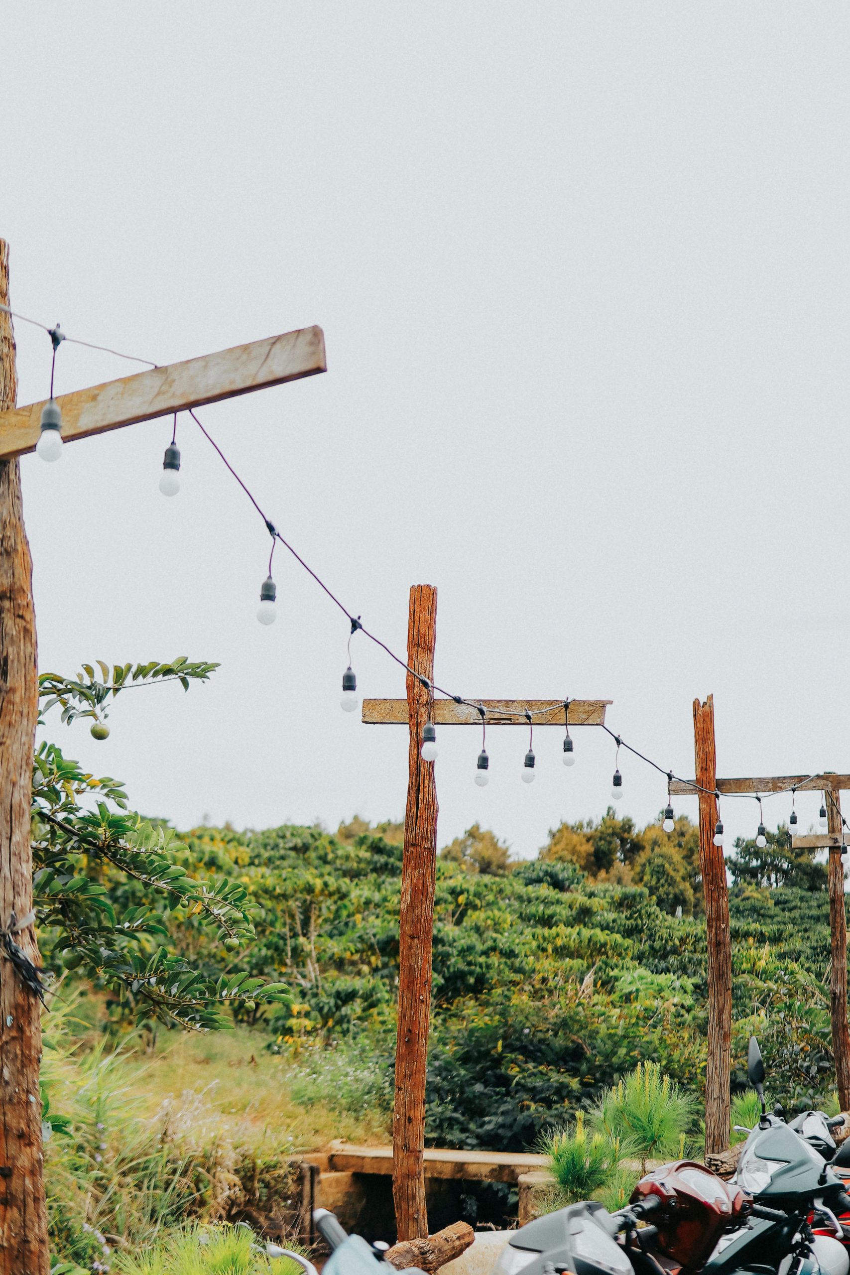 Charming outdoor scene with rustic wooden posts and hanging string lights in lush greenery.