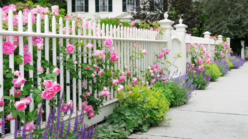 Expert Garden Fence Solutions | Secure Fence Company