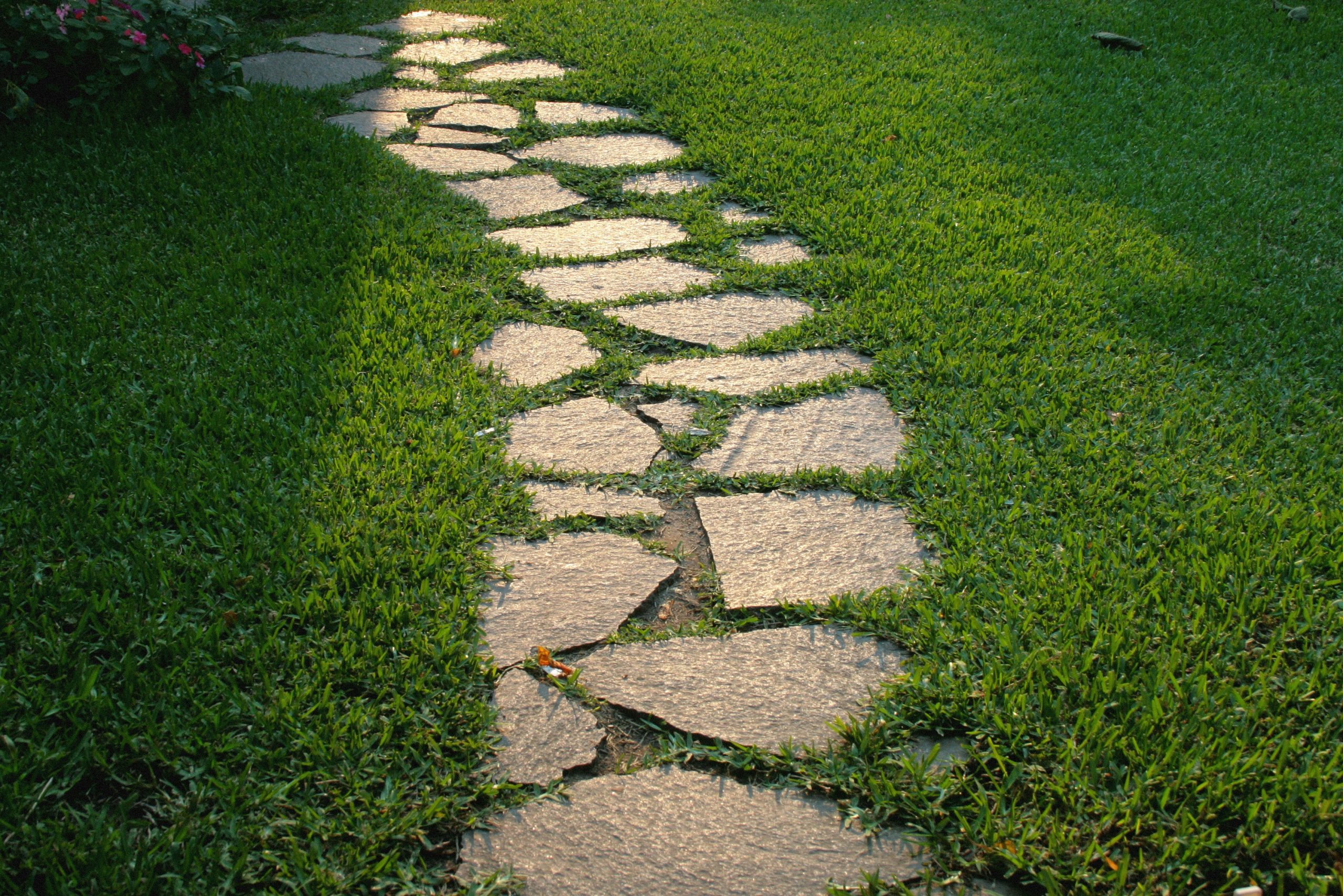 Flagstone on a green backyard lit by sunset light, May 2012