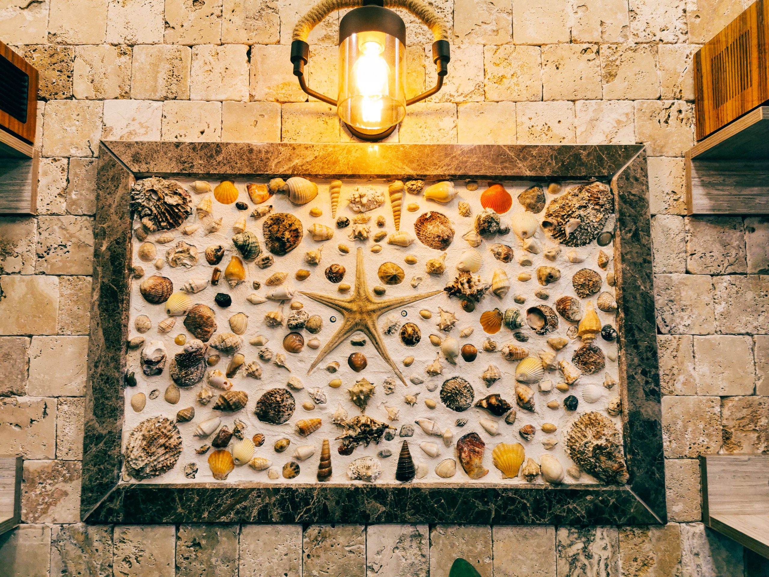 Intricate seashell and starfish wall art with warm lighting, creating a cozy indoor ambiance.