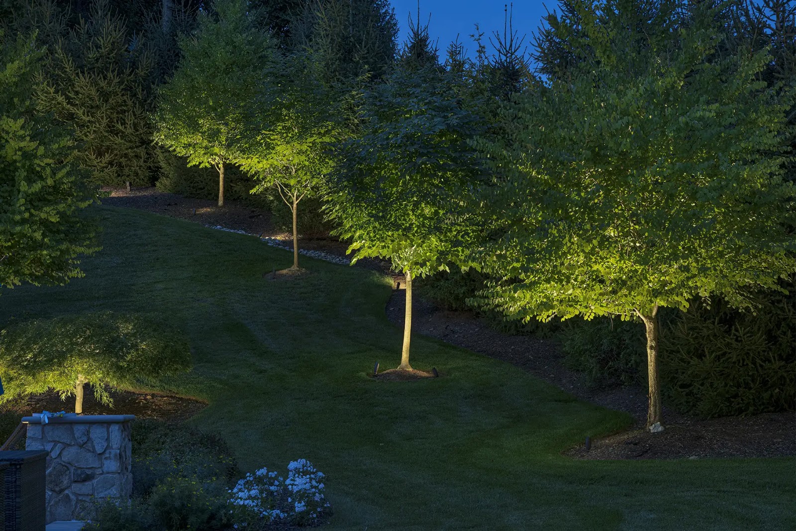 Landscape Lighting for Trees | Best Ideas and Techniques - Lighthouse Outdoor Lighting
