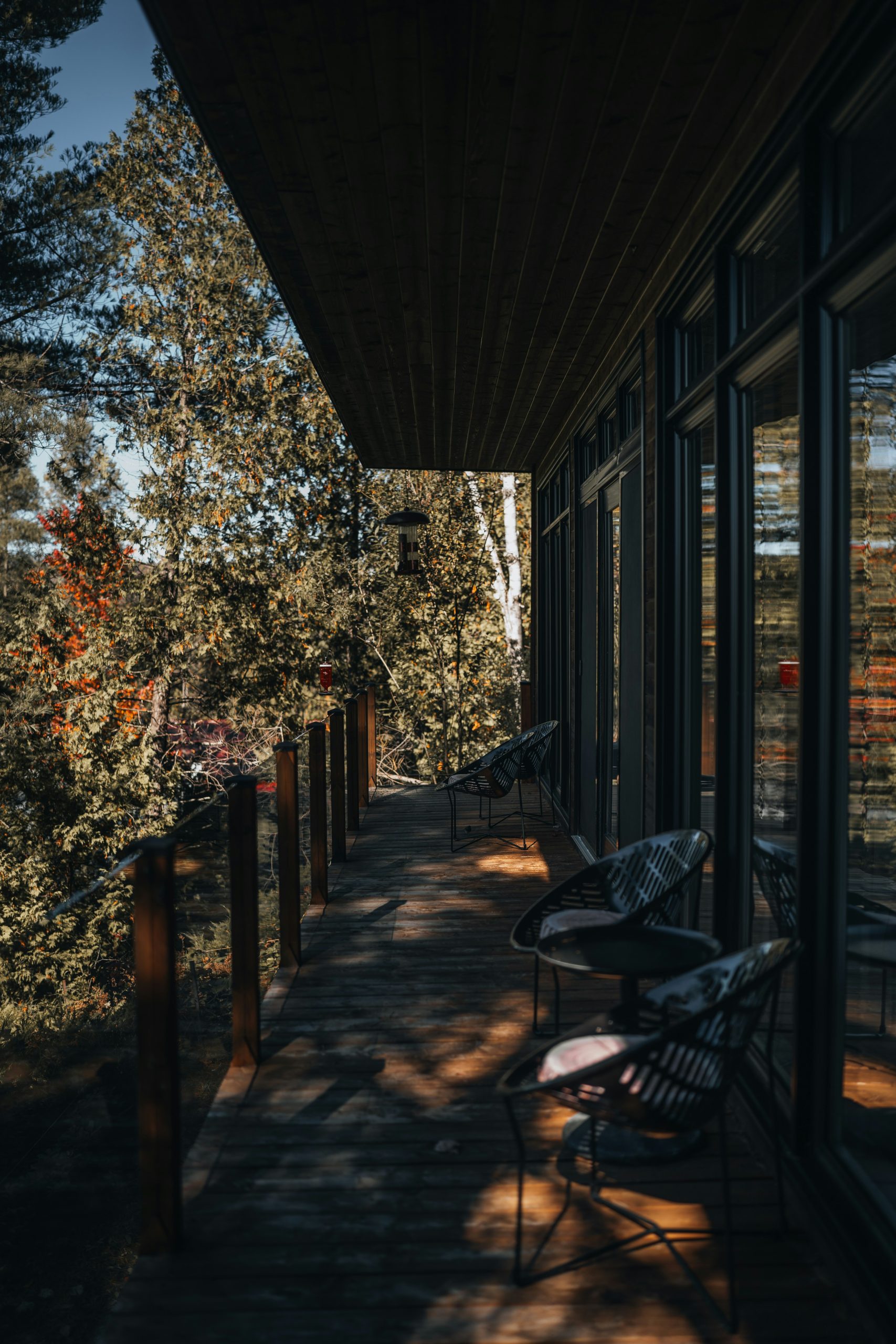 Modern balcony overlooking a lush forest setting.