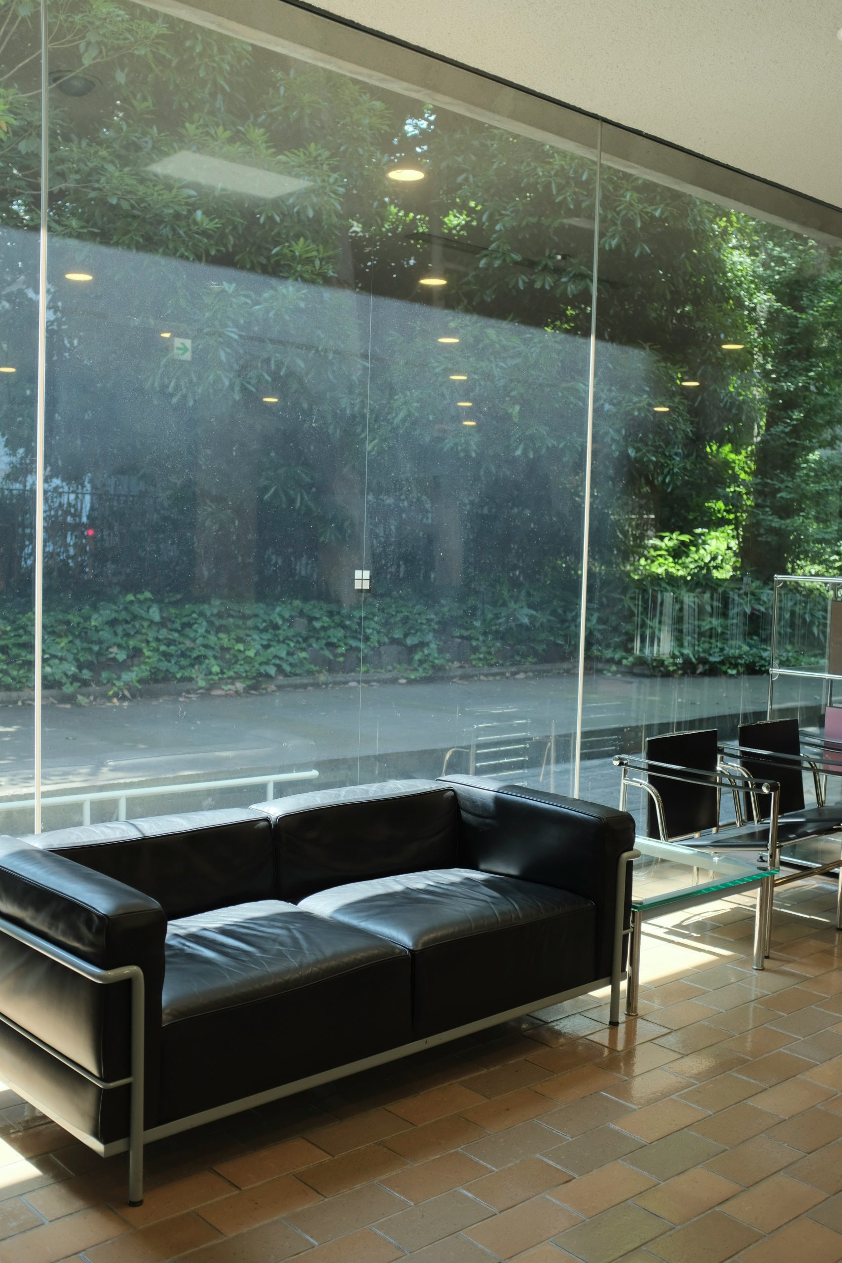 Modern black leather sofa in a sunlit room.
