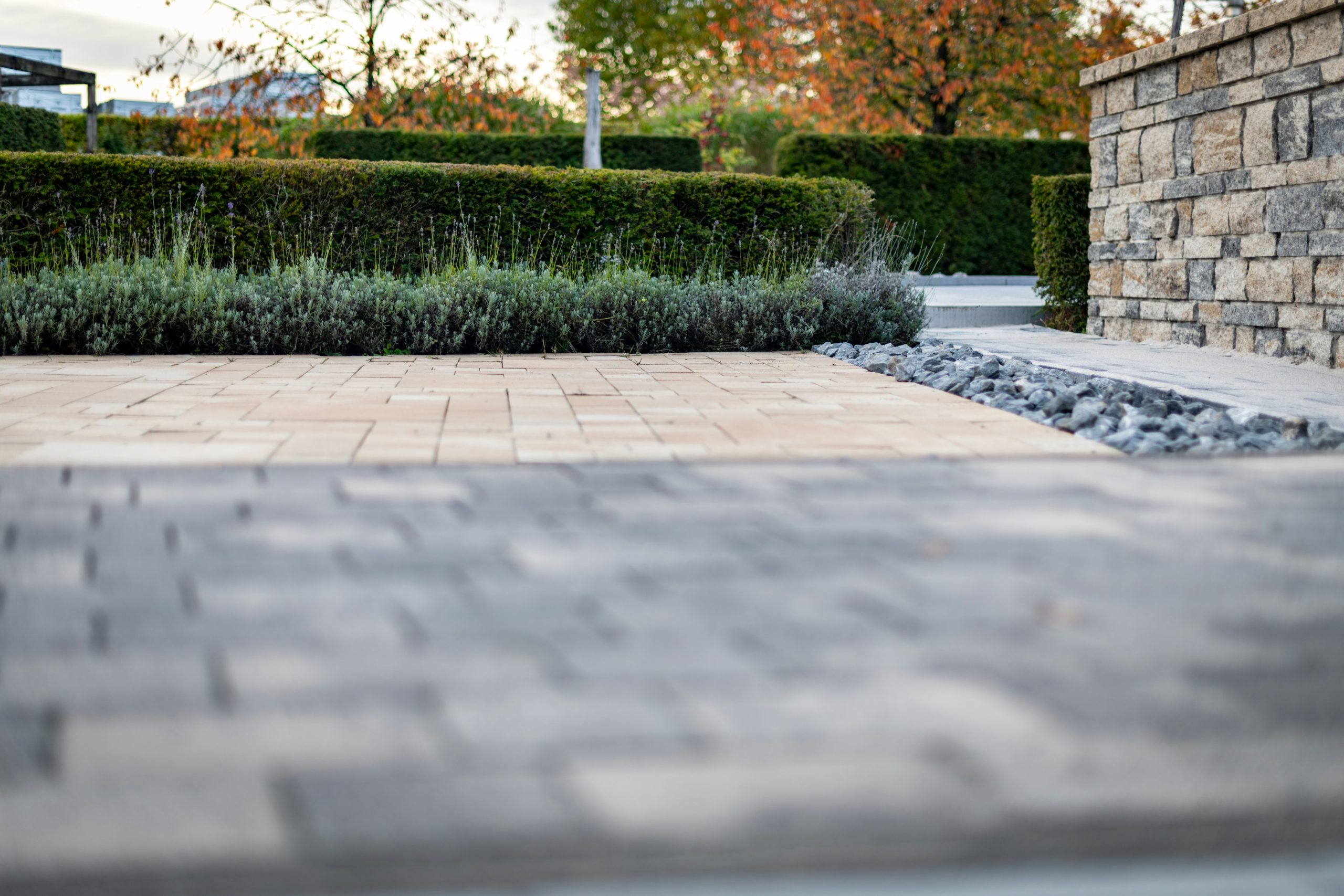 Modern garden pathway with stone wall and hedges