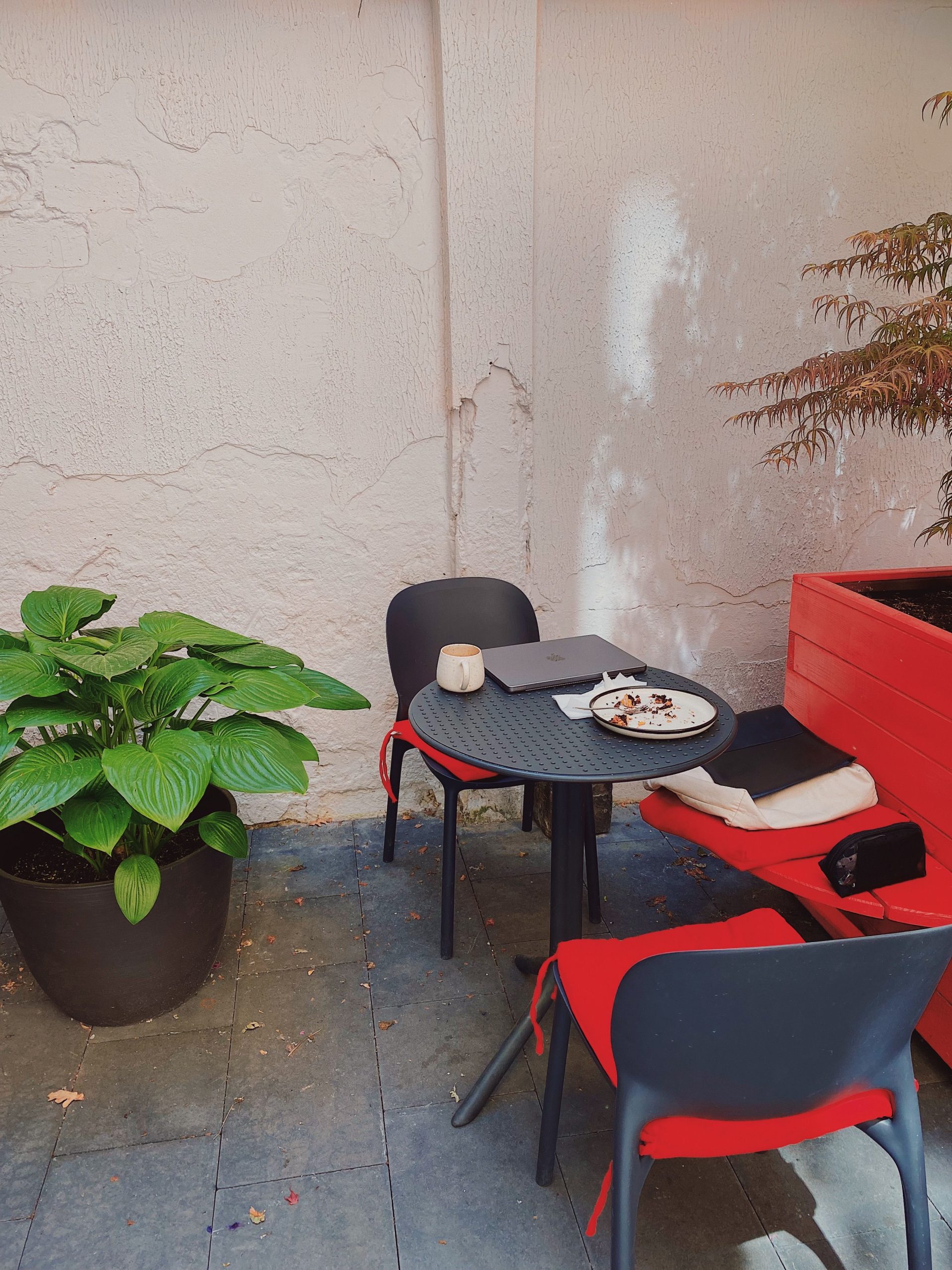 Outdoor patio with modern chairs, table, potted plant, and red accents.