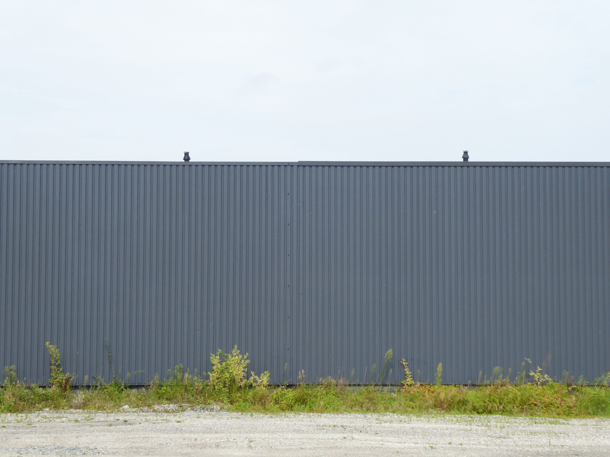 Outdoor view of a gray corrugated metal fence with wild vegetation at its base.
