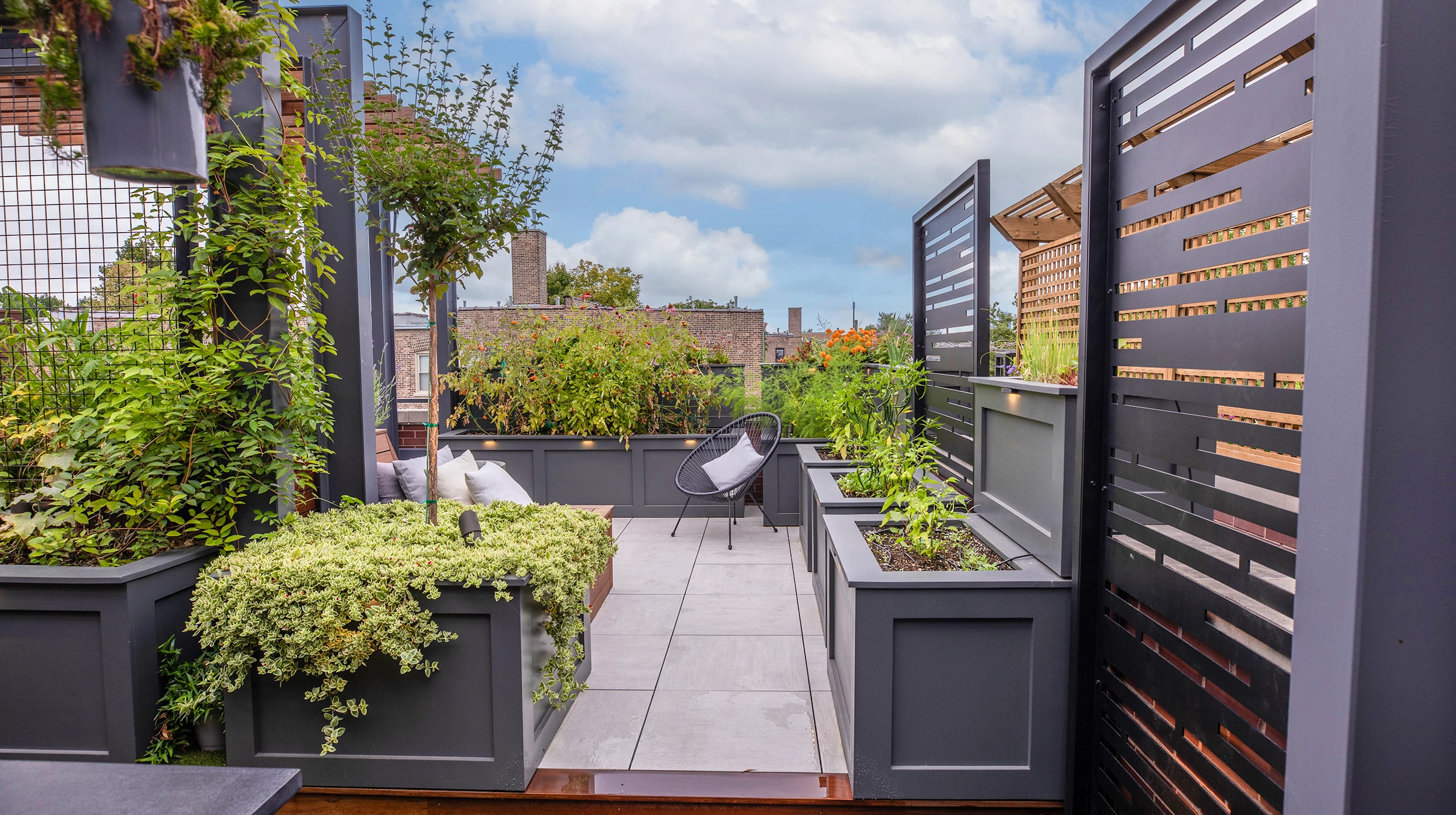 Privacy Screen | Elements | Chicago Roof Deck + Garden