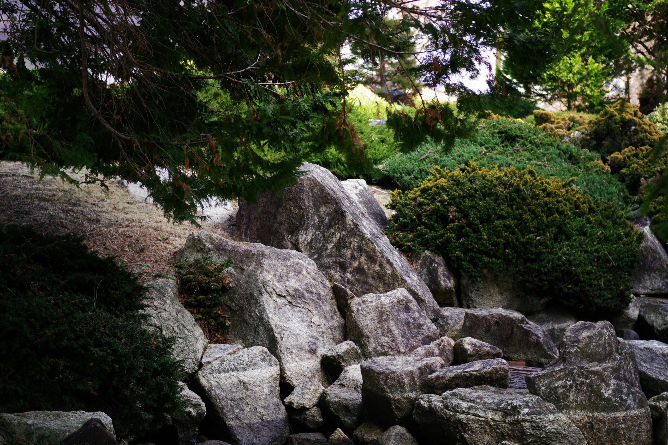 Rocks and green bushes create a natural landscape.