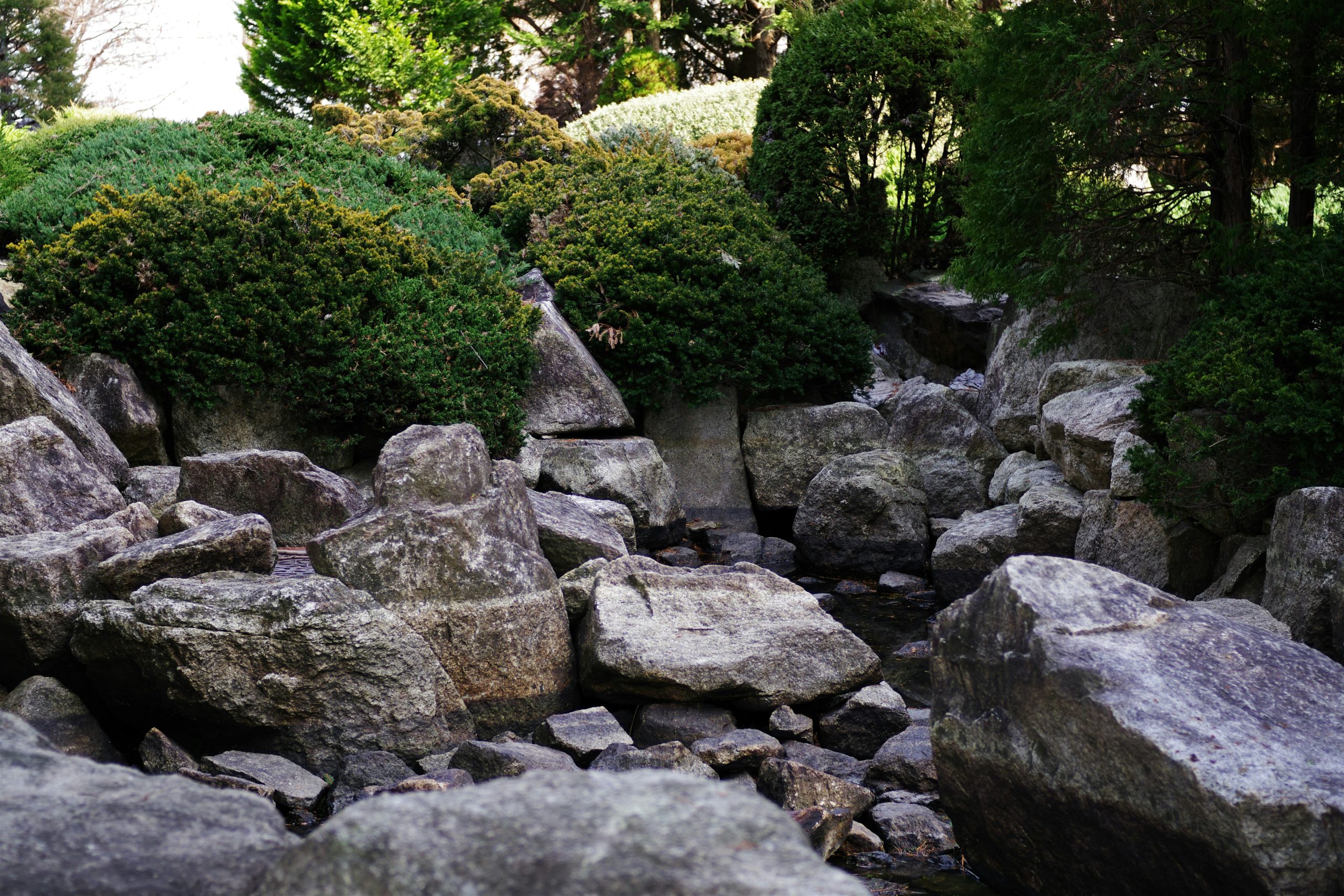 Rocks and greenery create a beautiful garden scene.