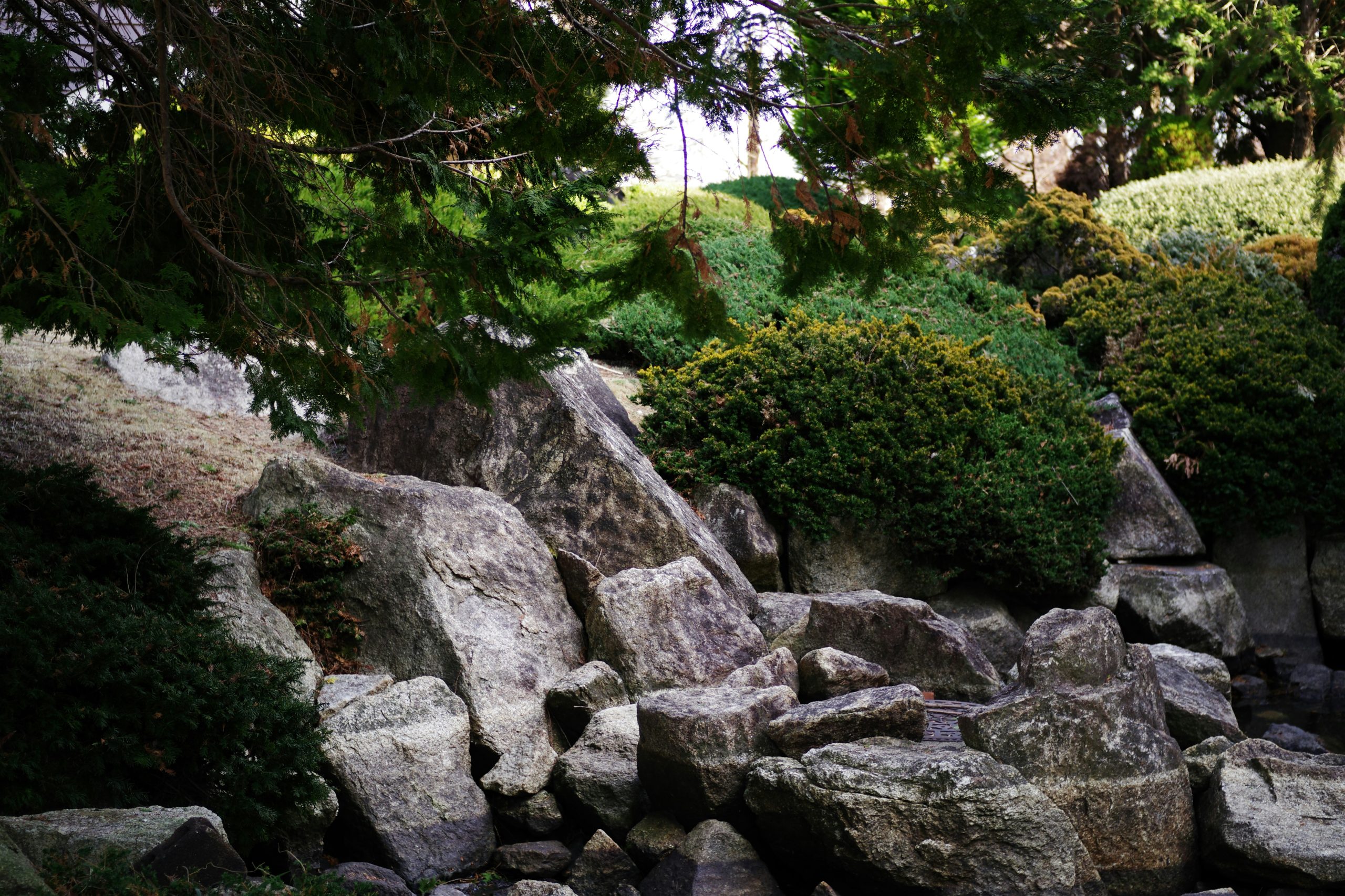 Rocks and greenery create a tranquil garden scene.