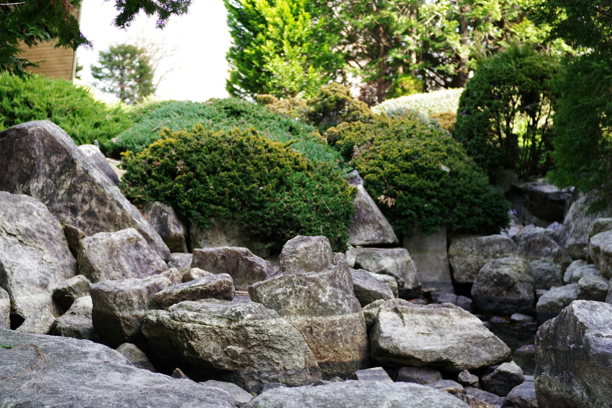 Rocks and greenery create a tranquil garden scene.