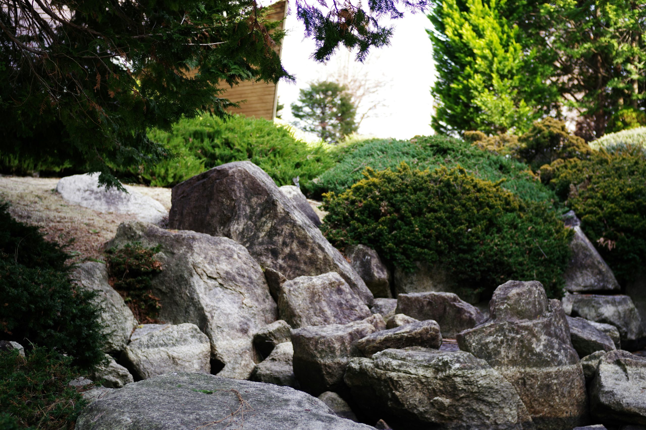 Rocks and lush greenery make a beautiful outdoor scene.