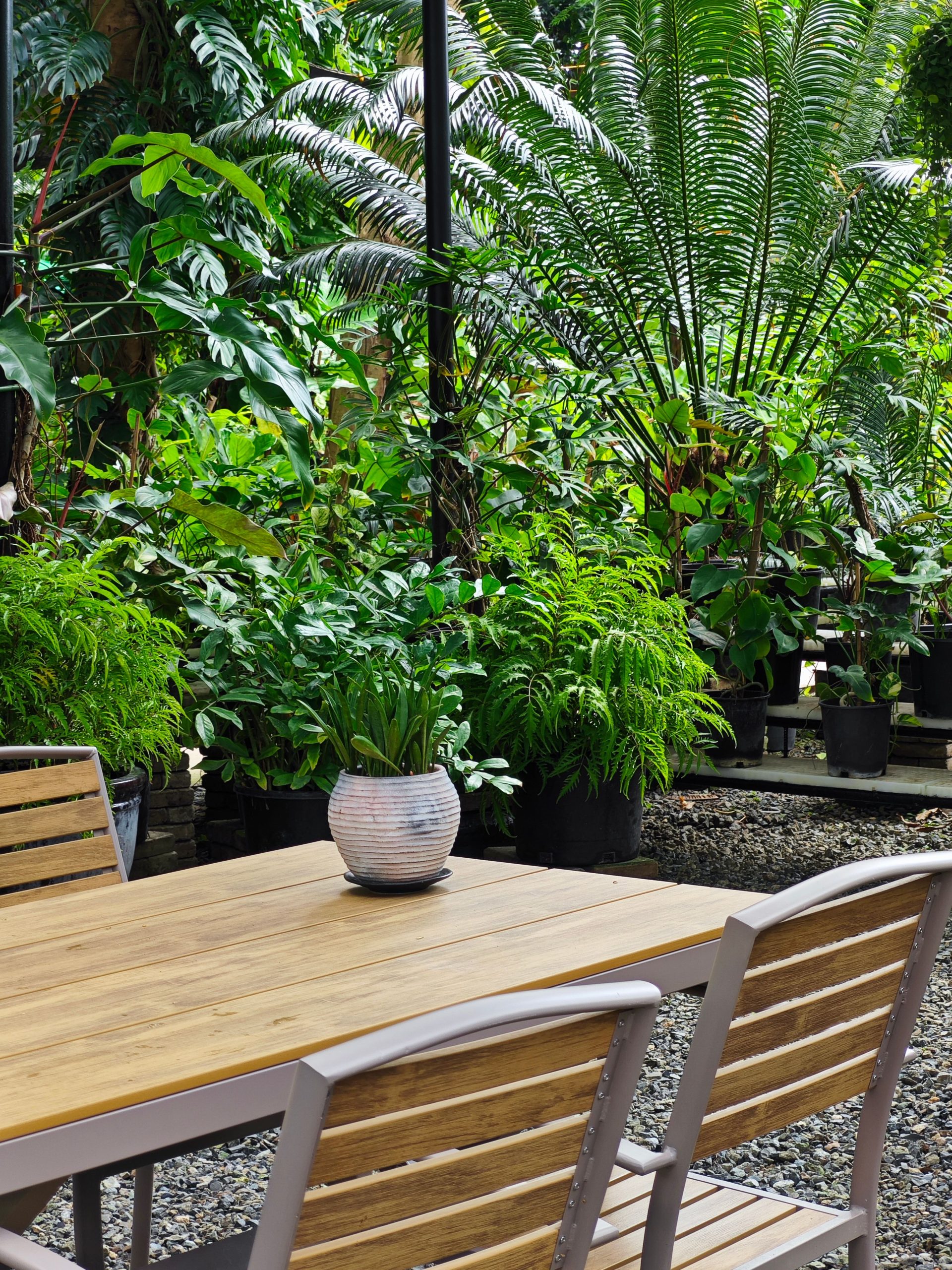 Serene garden patio with wooden table and vibrant green plants, perfect for relaxation.